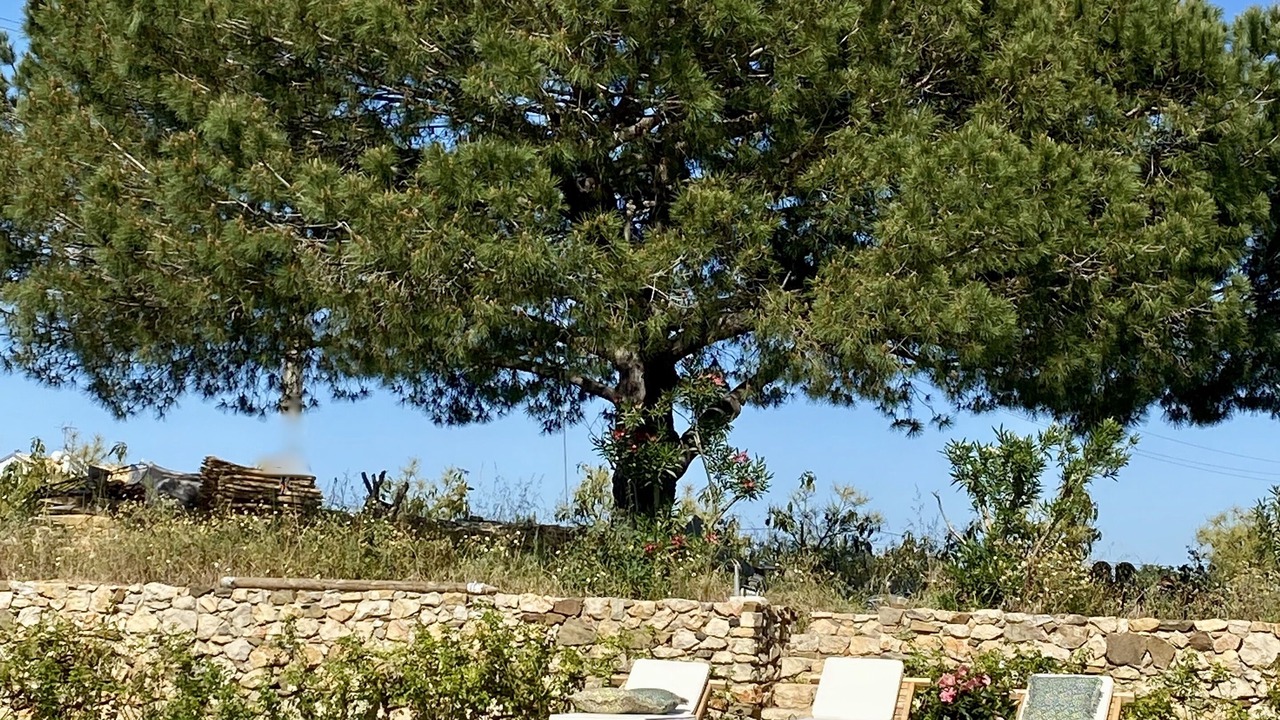 Photo of Outdoor in Manta Rota