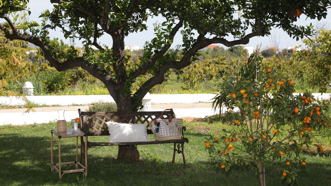 Photo of Outdoor in Manta Rota