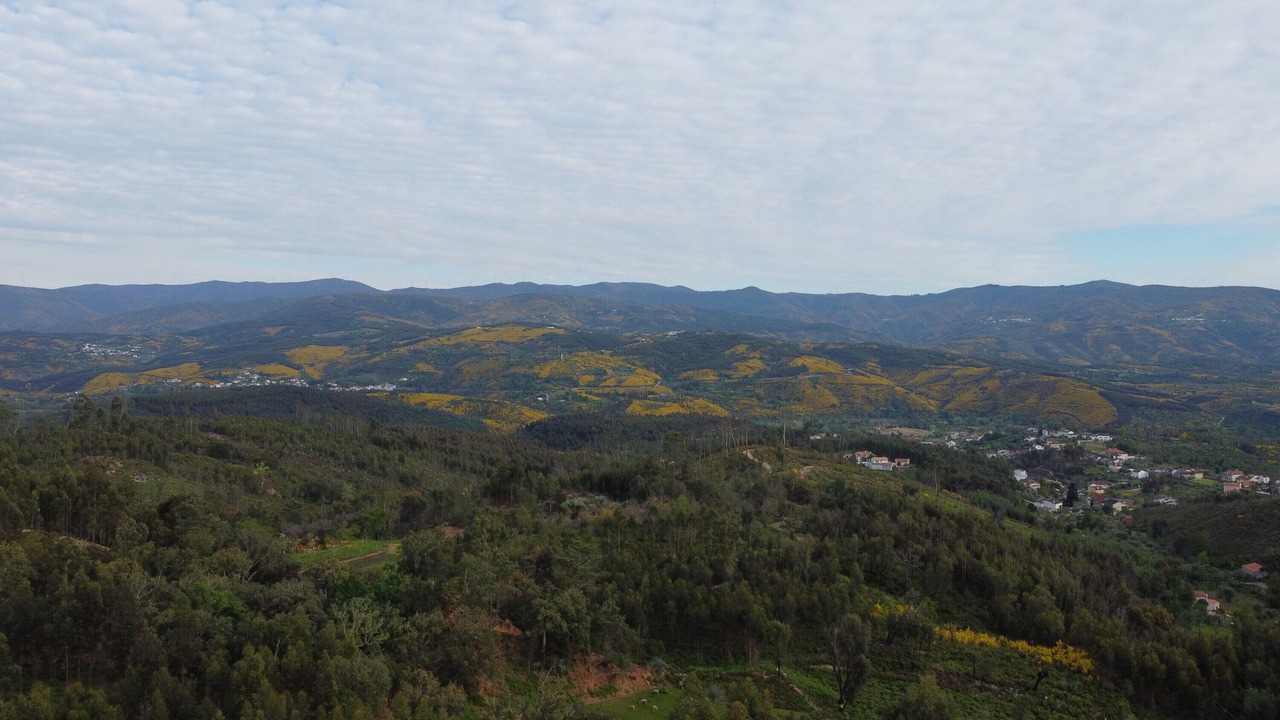 Photo of Outdoor in Moitas