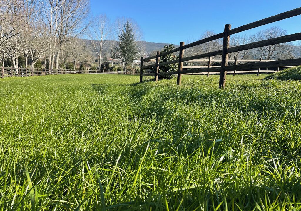Photo of Outdoor in Fontoura