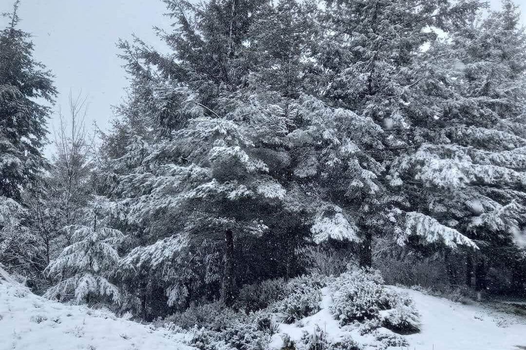 Photo of Outdoor in Seia