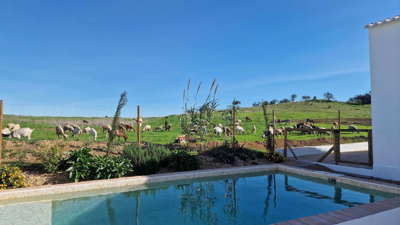 Photo of Outdoor in Conceicao