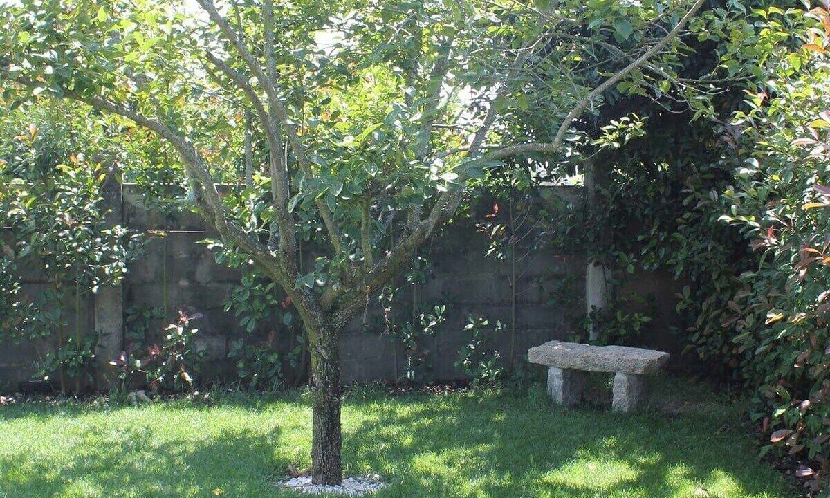 Photo of Outdoor in Mozelos