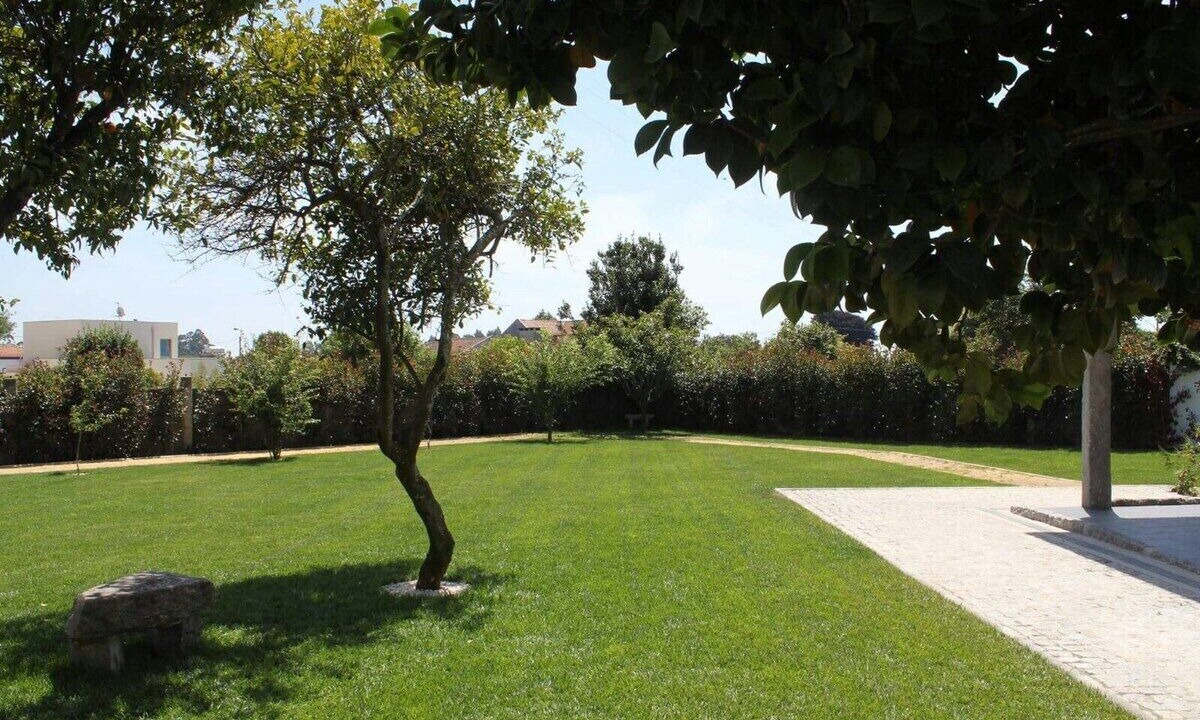 Photo of Outdoor in Mozelos