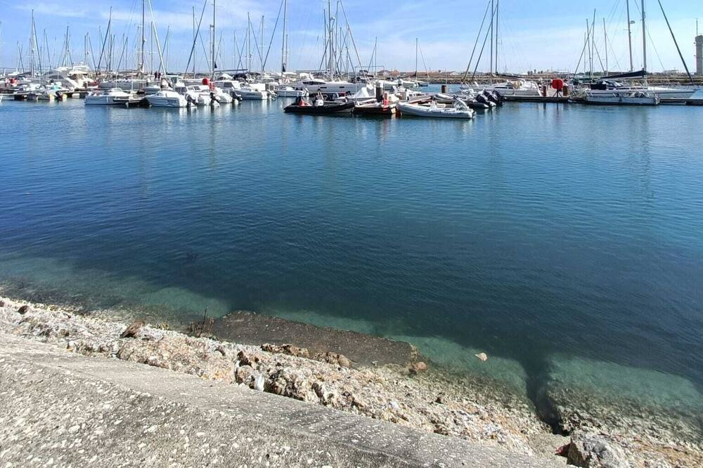 Photo of Others in Sao Juliao da Figueira da Foz
