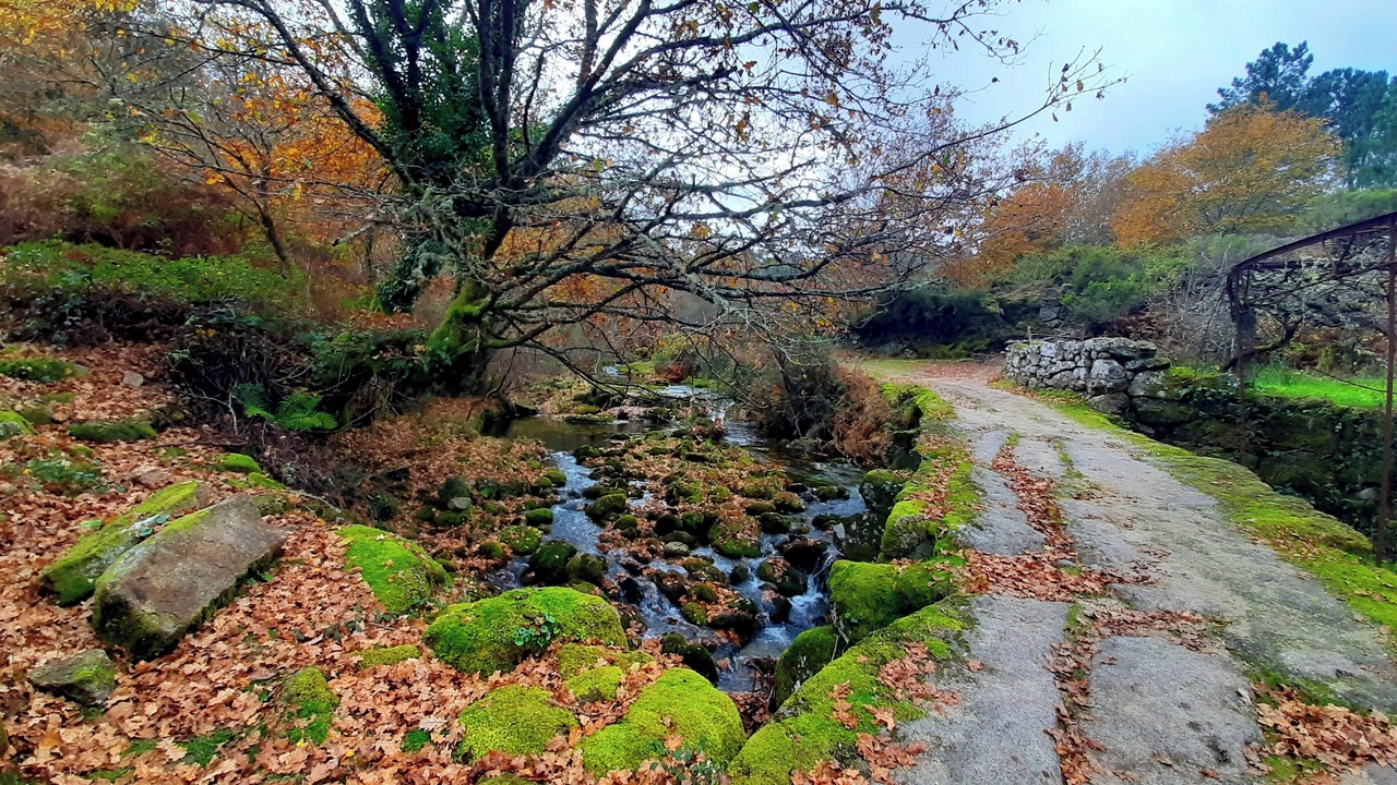 Photo of Outdoor in Lindoso
