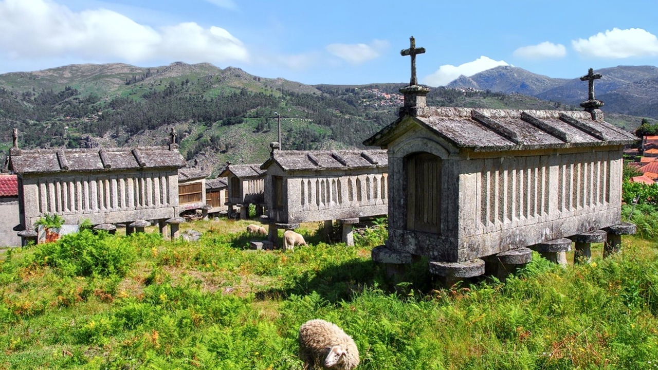 Photo of Outdoor in Lindoso