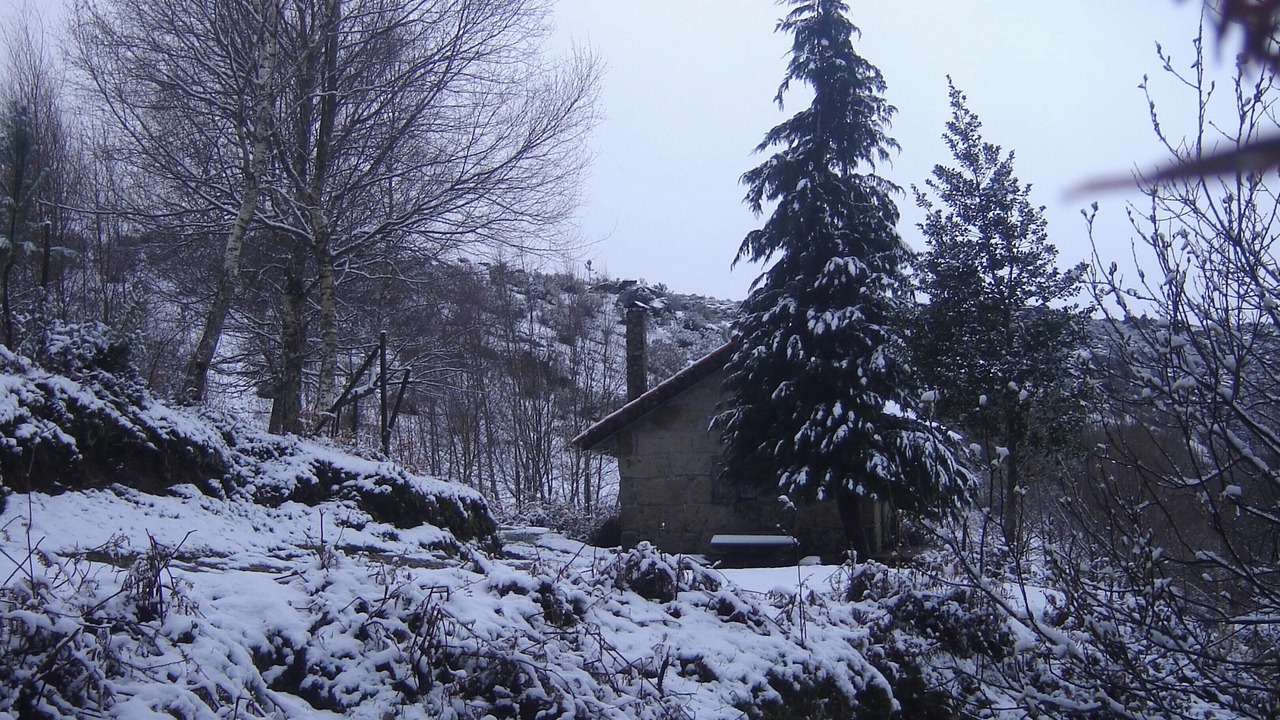 Photo of Outdoor in Lindoso