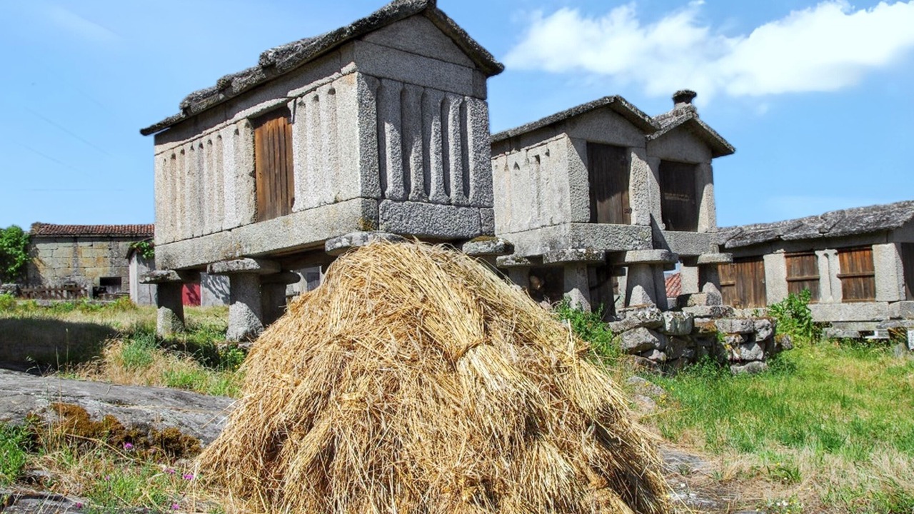 Photo of Outdoor in Lindoso