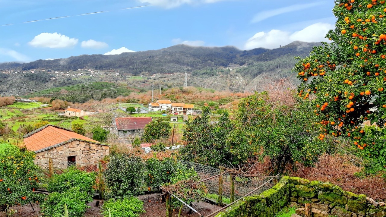 Photo of Outdoor in Lindoso