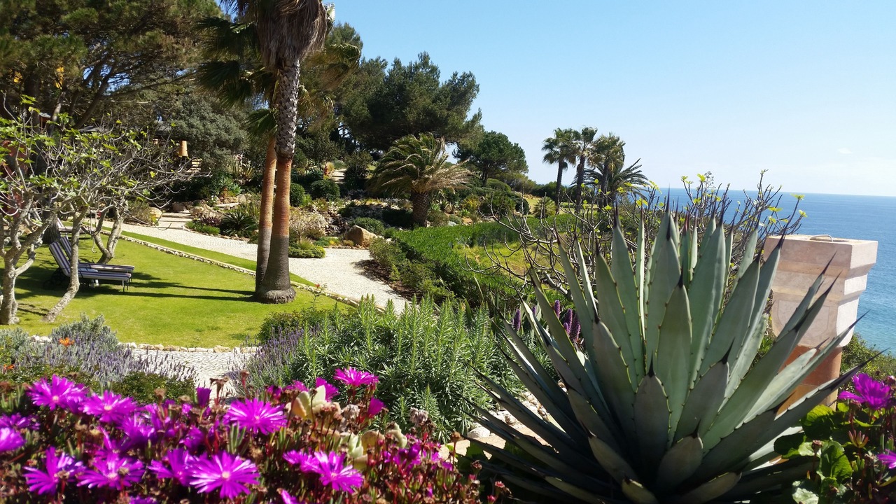 Photo of Outdoor in Porto de Mos