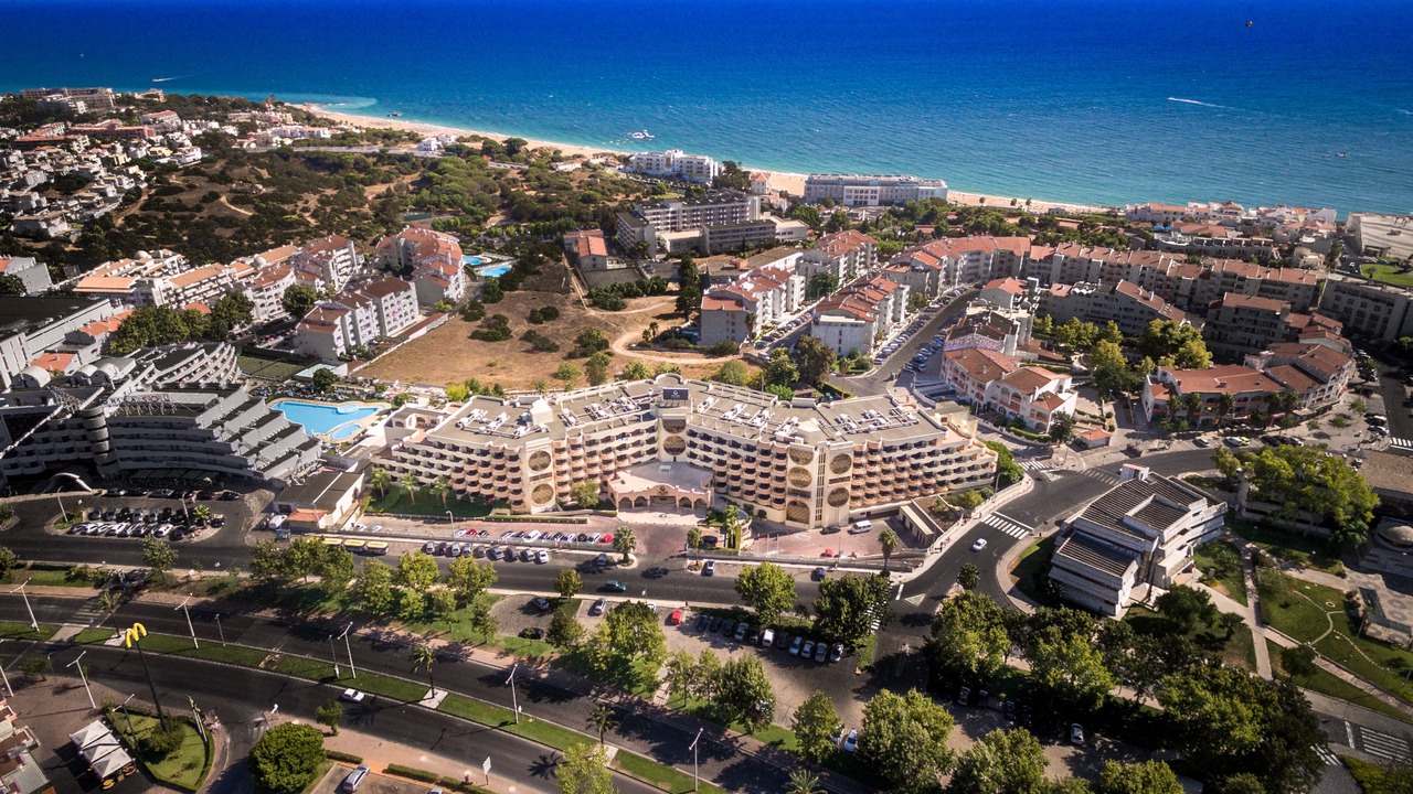 Photo of Outdoor in Calicos