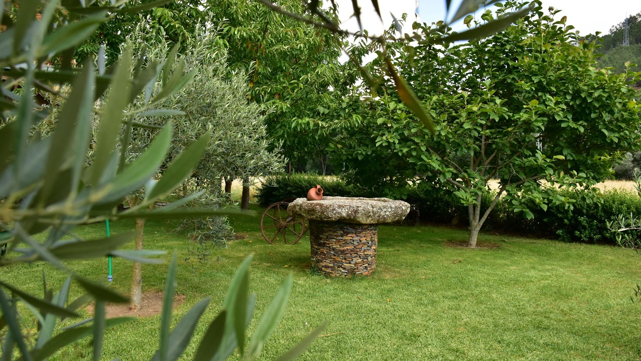 Photo of Outdoor in Vila Ruiva