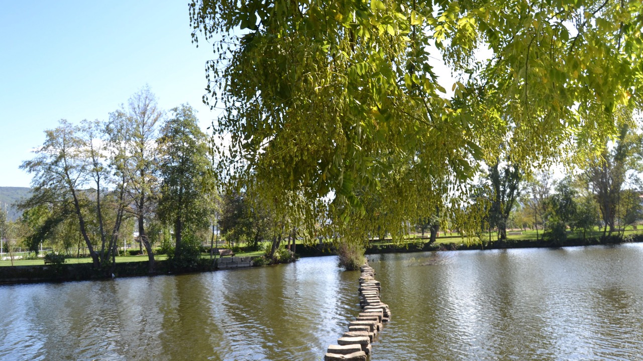 Photo of Outdoor in Chaves
