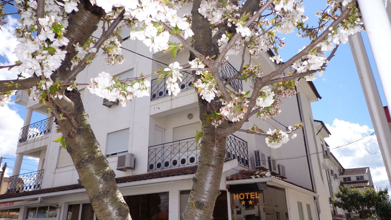 Photo of Outdoor in Chaves