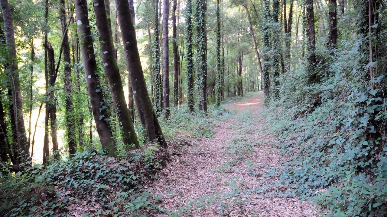 Photo of Outdoor in Celorico de Basto
