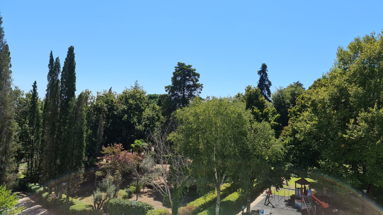 Photo of Outdoor in Nelas