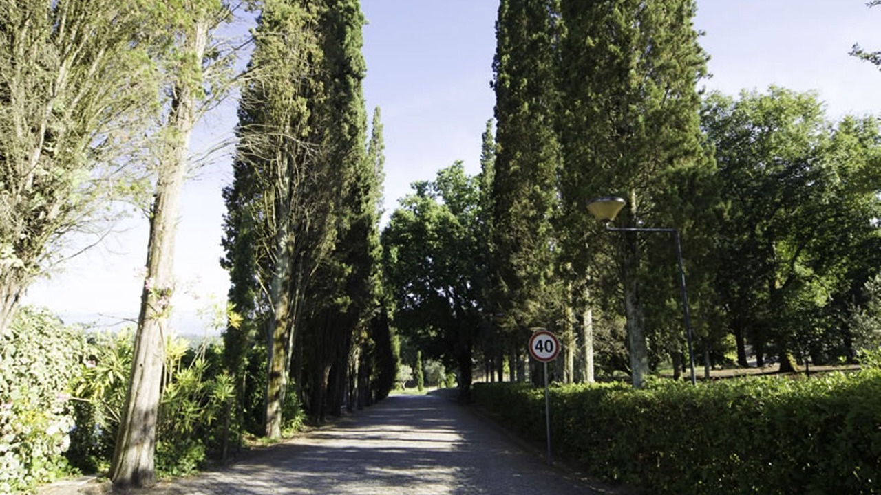 Photo of Outdoor in Nelas