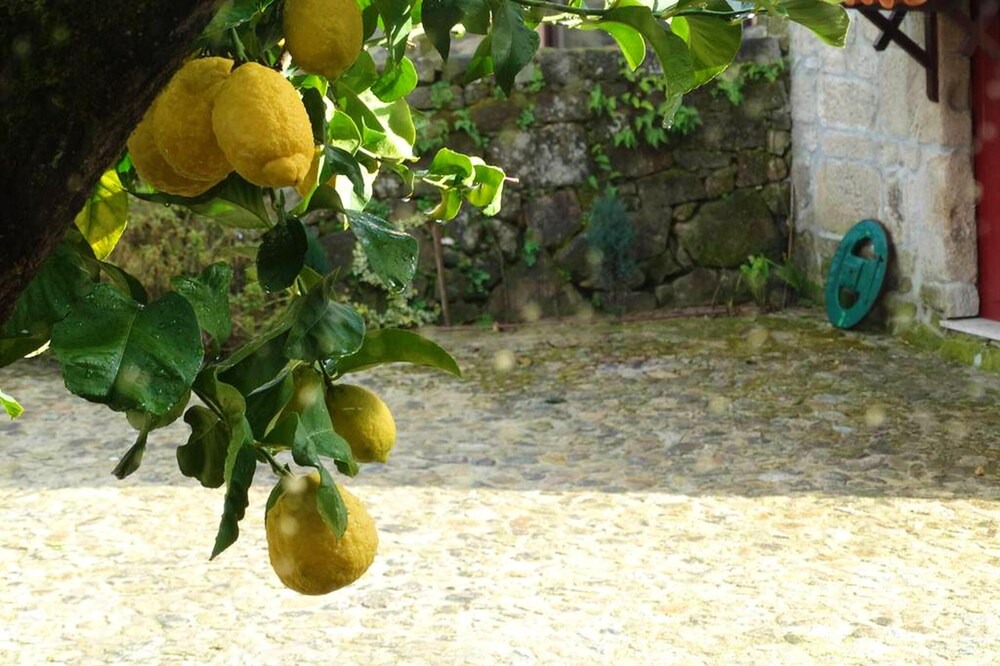 Photo of Outdoor in Fatauncos