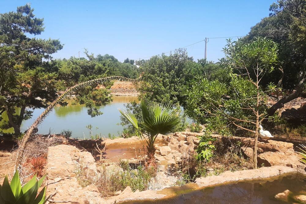 Photo of Outdoor in Lagos