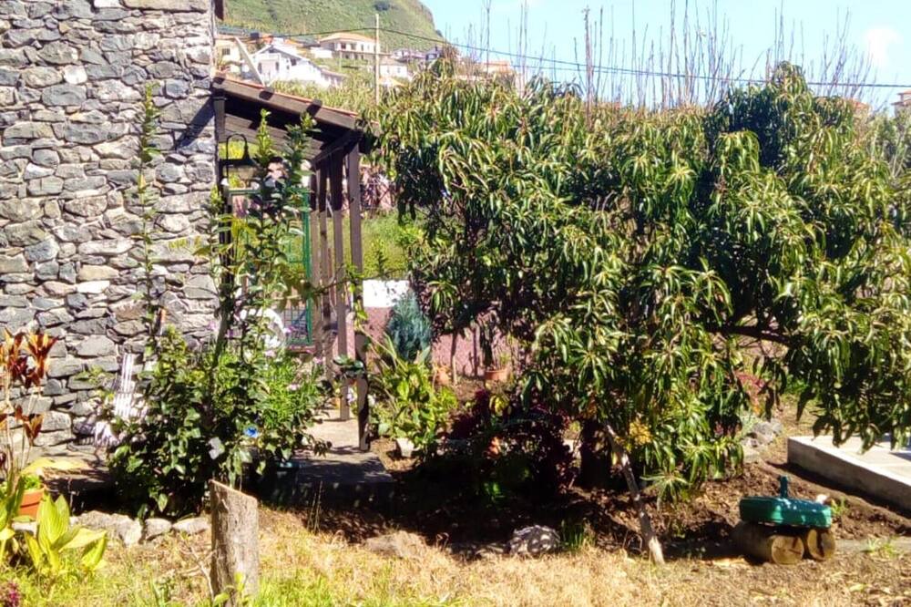 Photo of Others in Arco da Calheta
