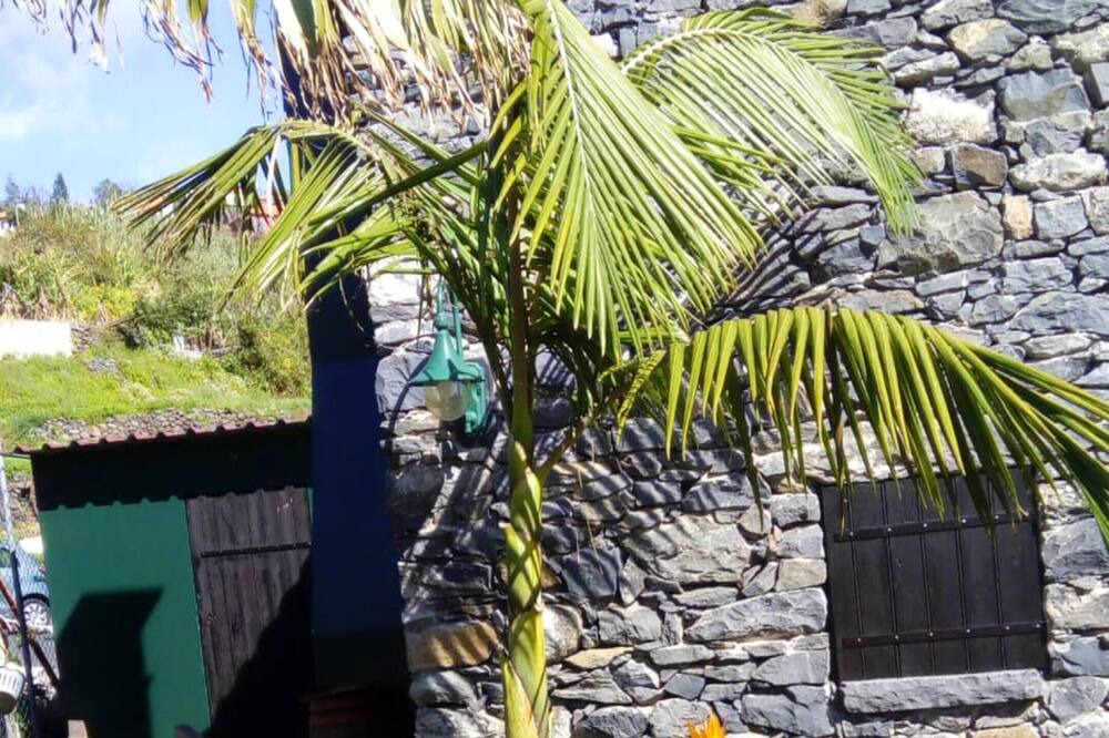 Photo of Others in Arco da Calheta