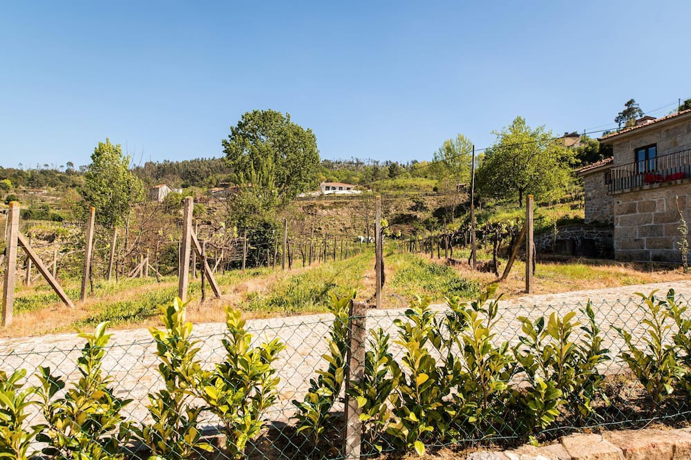 Photo of Outdoor in Castelo de Paiva