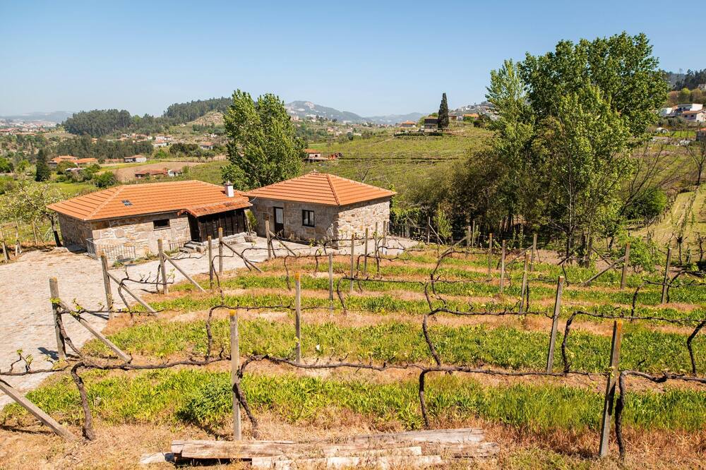 Photo of Others in Castelo de Paiva