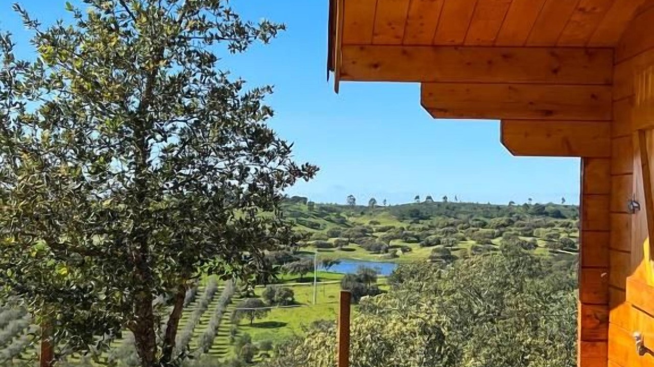 Photo of Outdoor in Alcacer do Sal