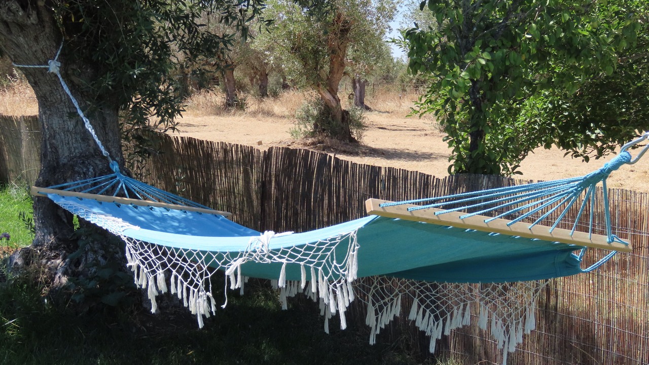 Photo of Outdoor in Vimieiro