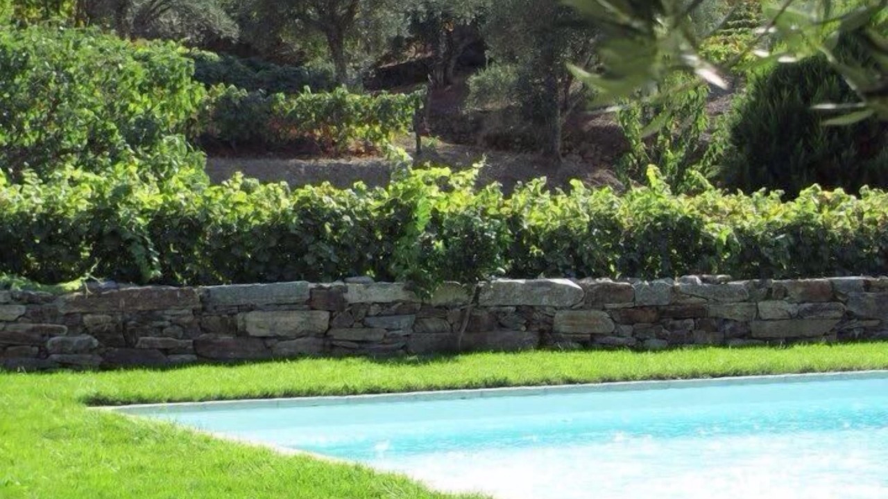 Photo of Outdoor in Vila Real