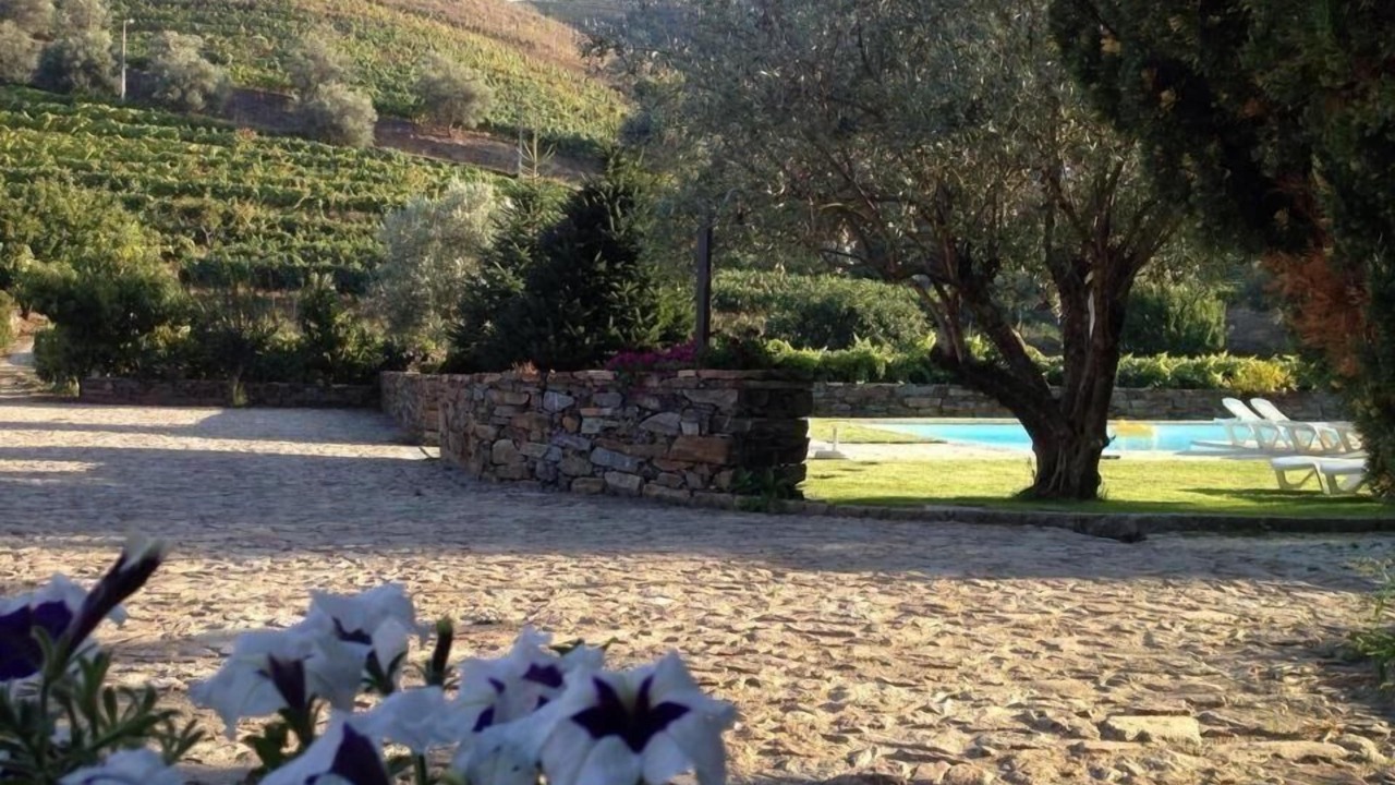 Photo of Outdoor in Vila Real