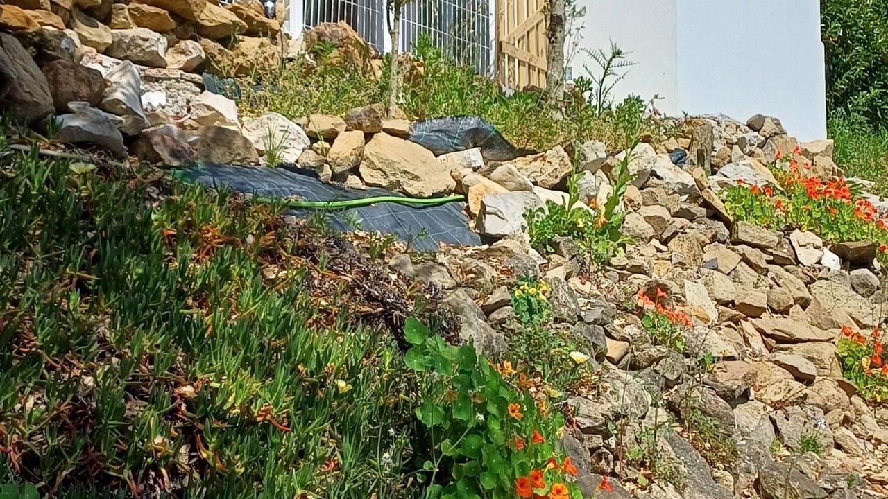 Photo of Outdoor in Alcobaca