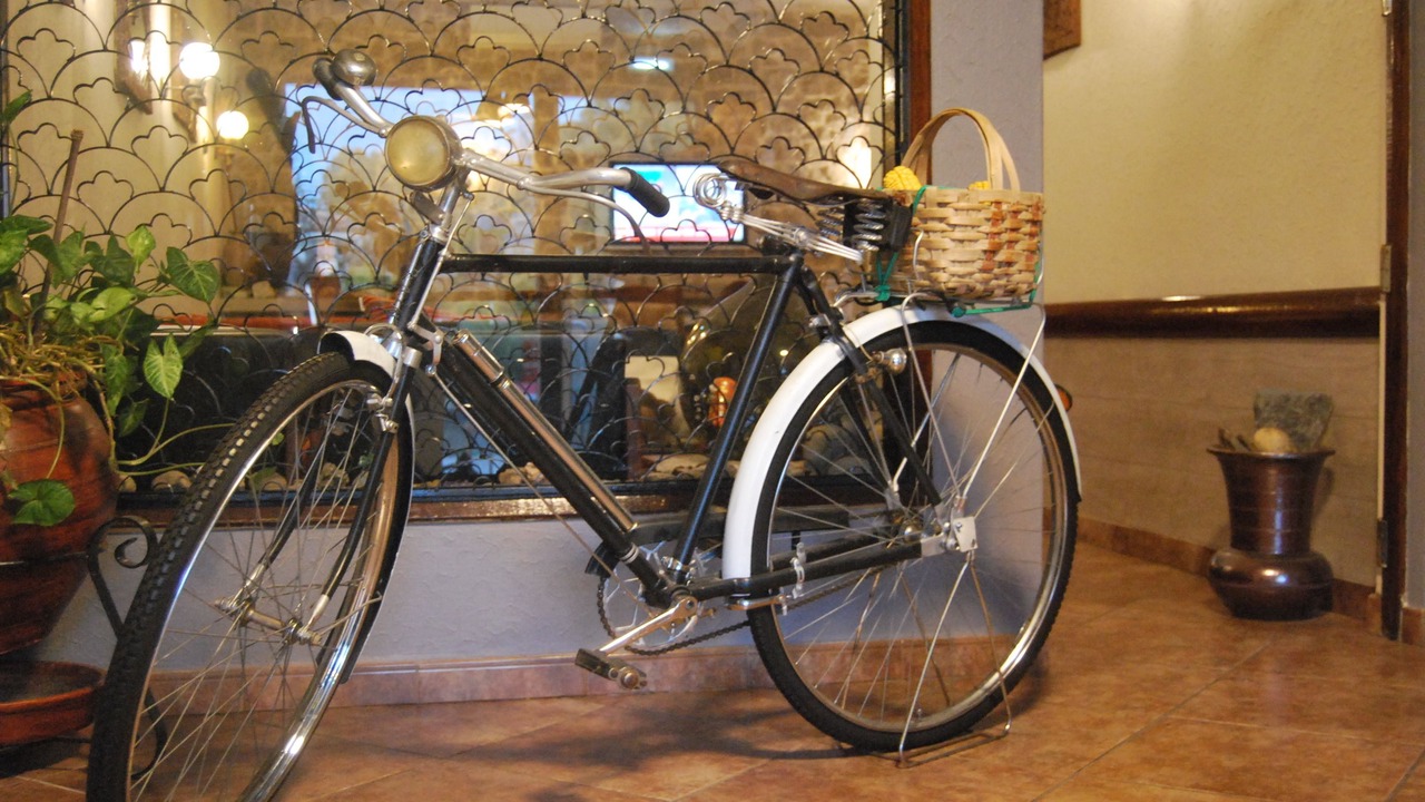 Photo of Others in Monfortinho