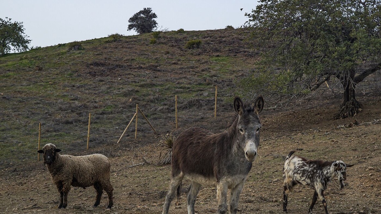 Photo of Others in Pedra Arrancada