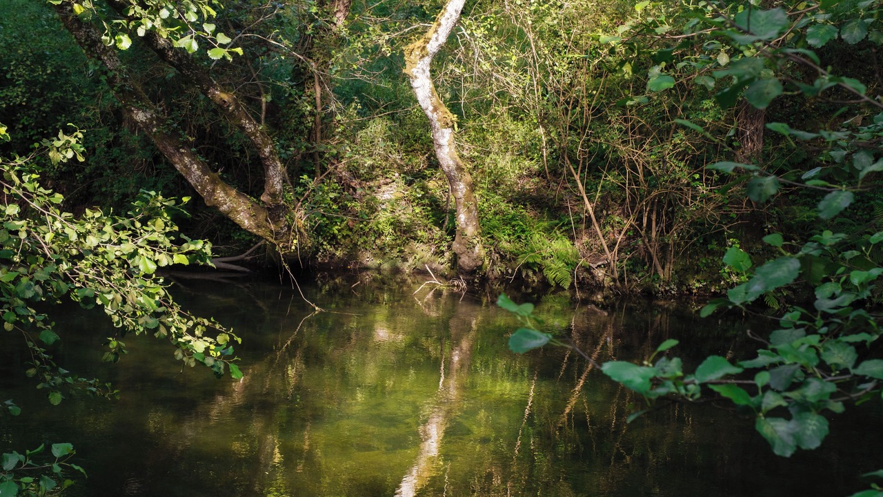 Photo of Outdoor in Balocas
