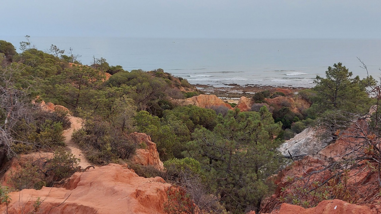 Photo of Outdoor in Areias de Sao Joao