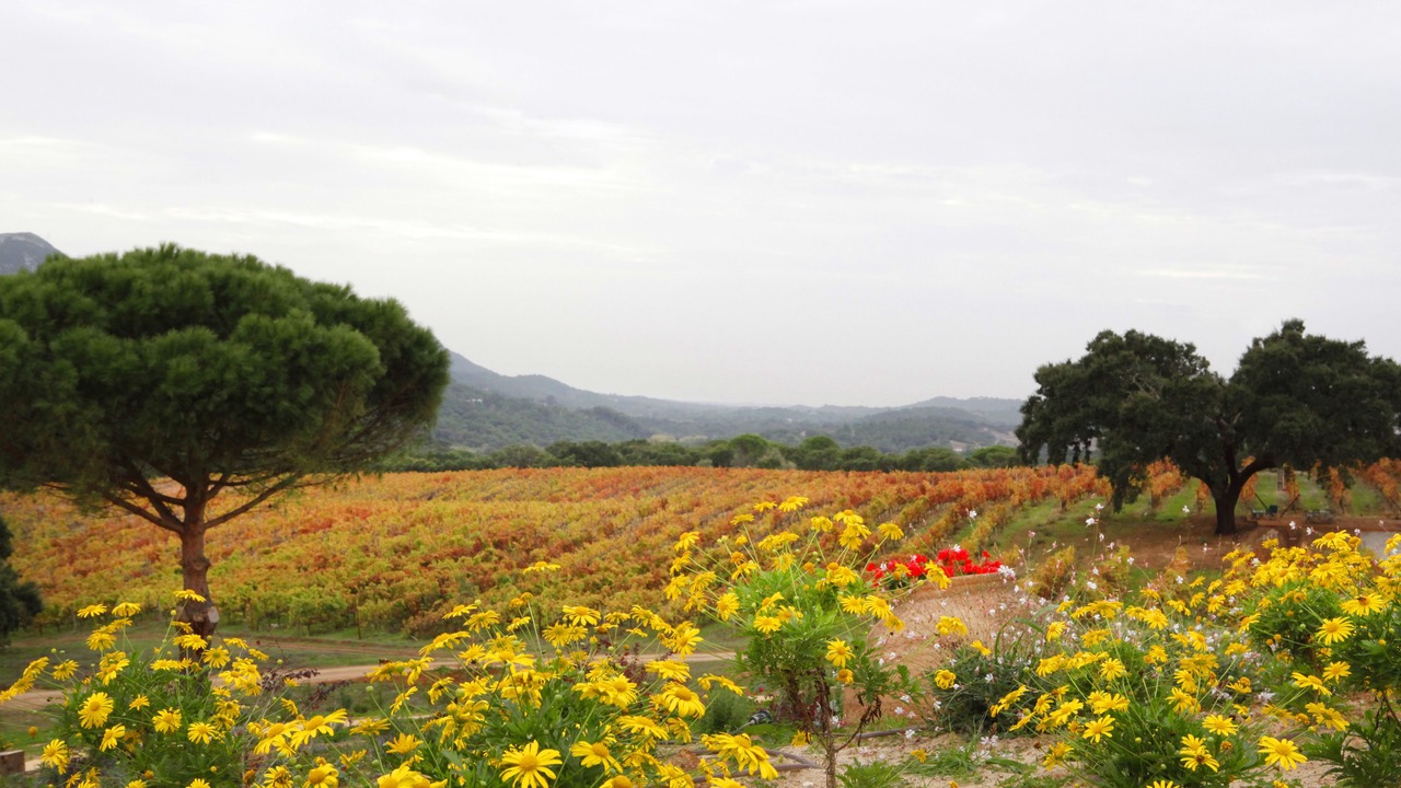 Photo of Outdoor in Nossa Senhora da Anunciada