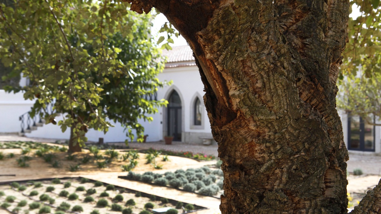 Photo of Outdoor in Nossa Senhora da Anunciada