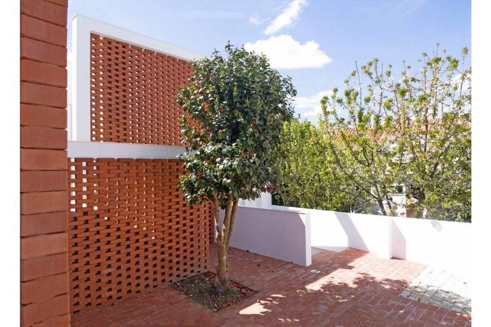 Photo of Others in Castelo Branco