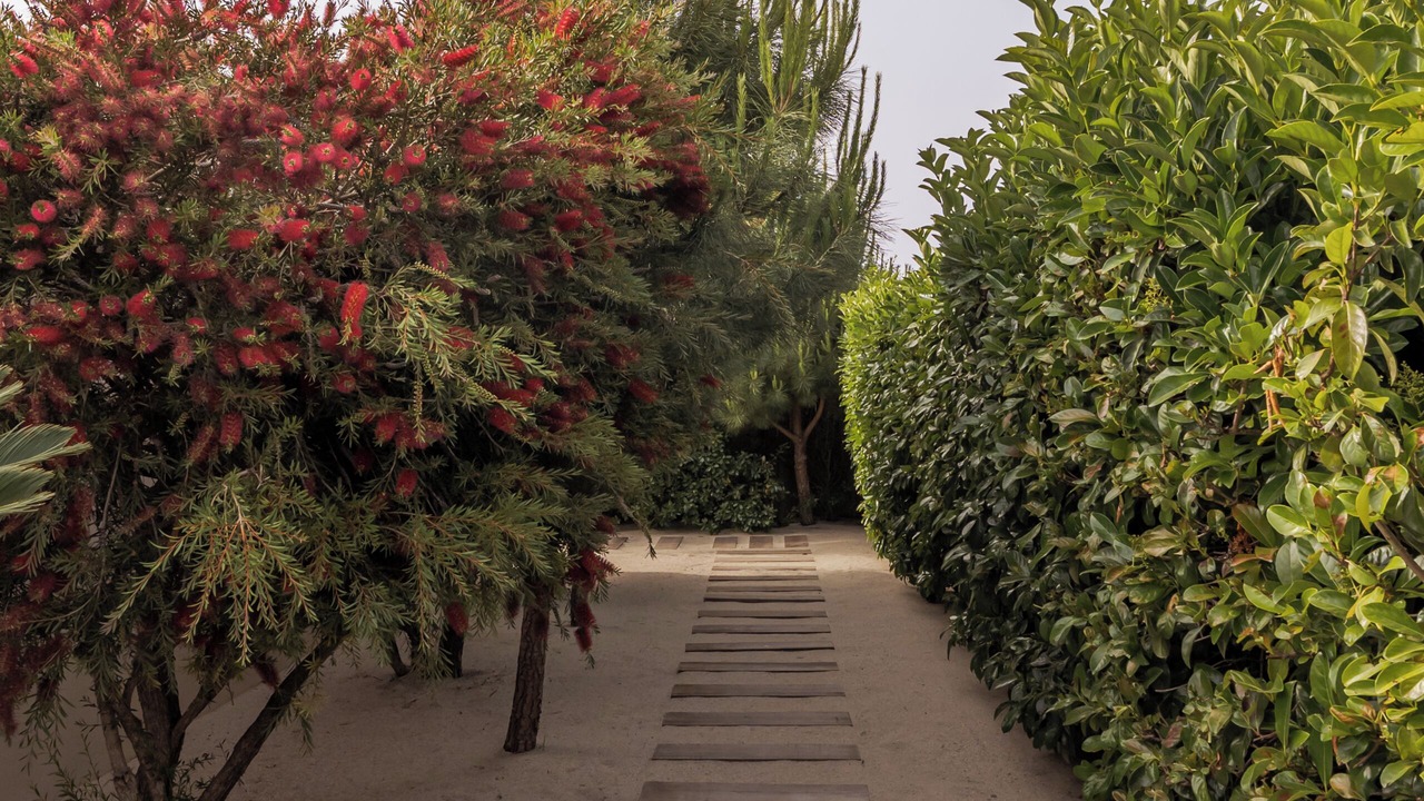 Photo of Outdoor in Troia