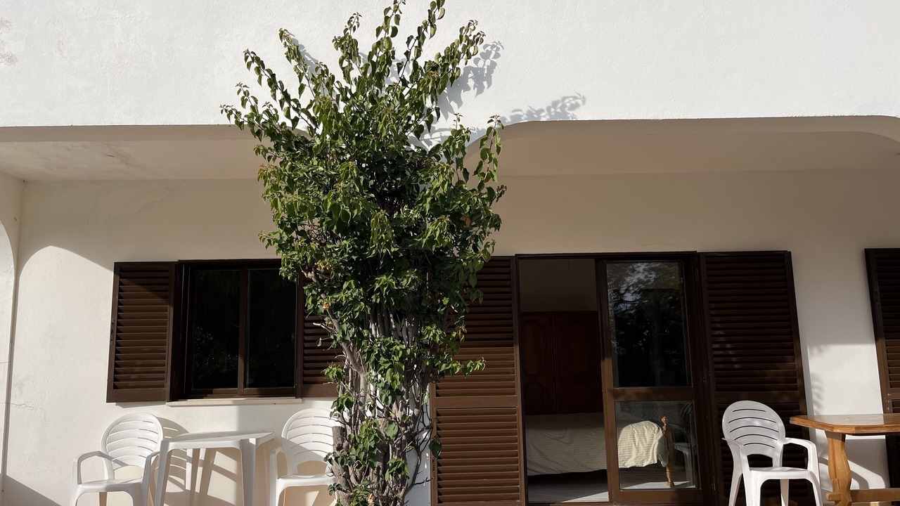 Photo of Patio Balcony in Boliqueime