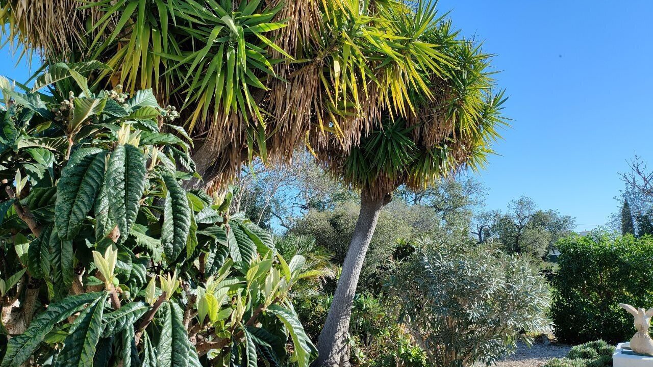 Photo of Outdoor in Boliqueime