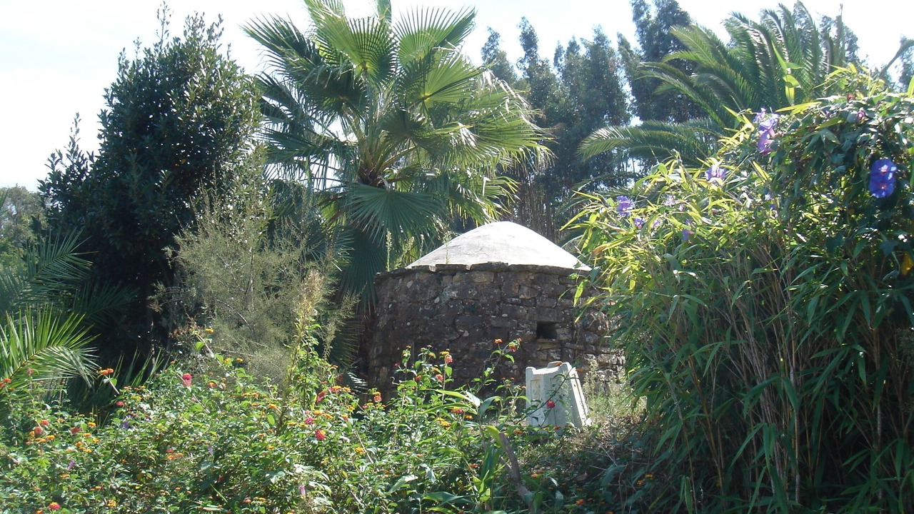 Photo of Outdoor in Baiona