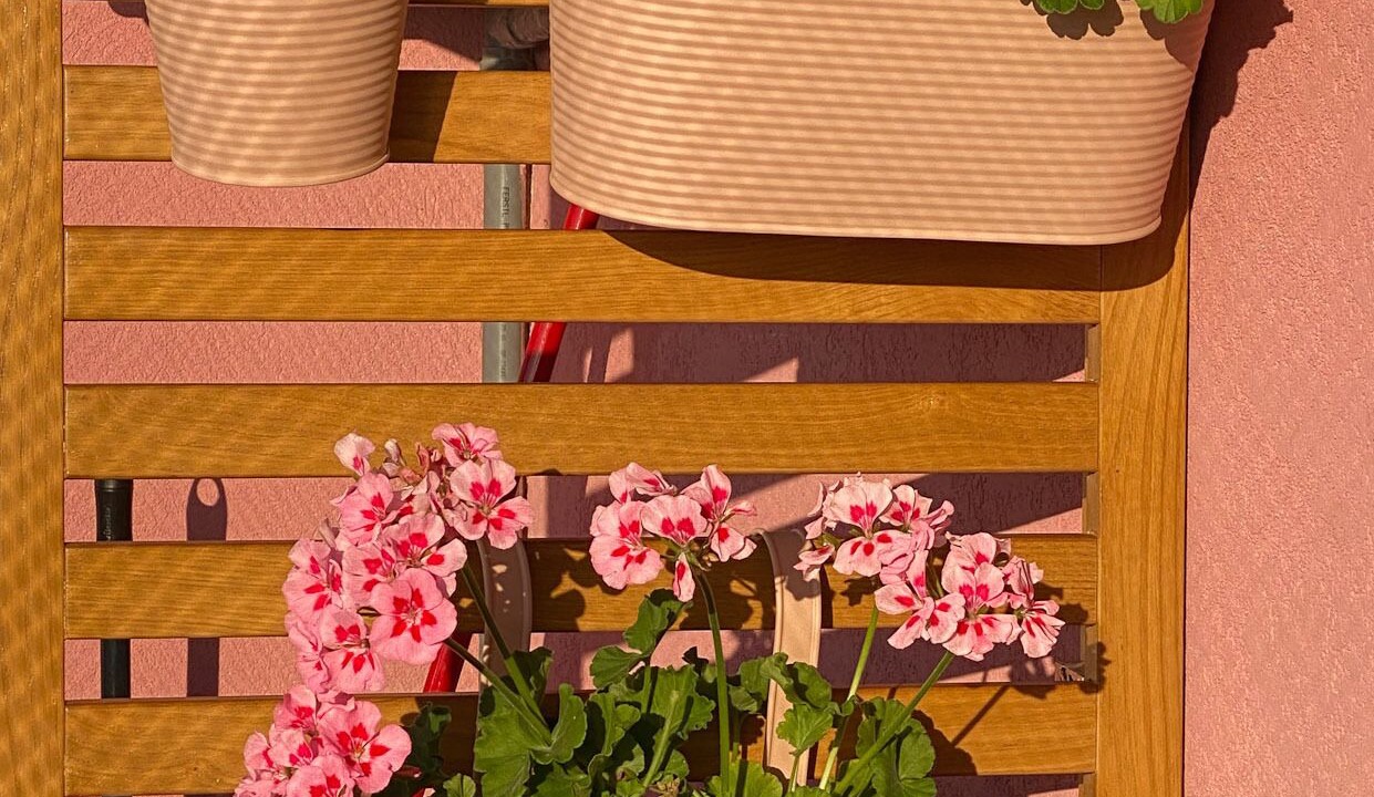 Photo of Outdoor in Paranhos