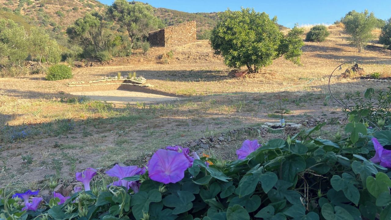 Photo of Outdoor in Fonte do Bispo