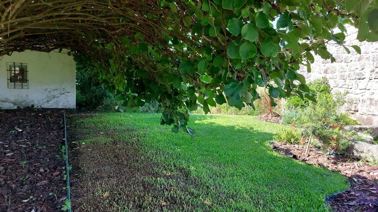 Photo of Outdoor in Viana do Castelo