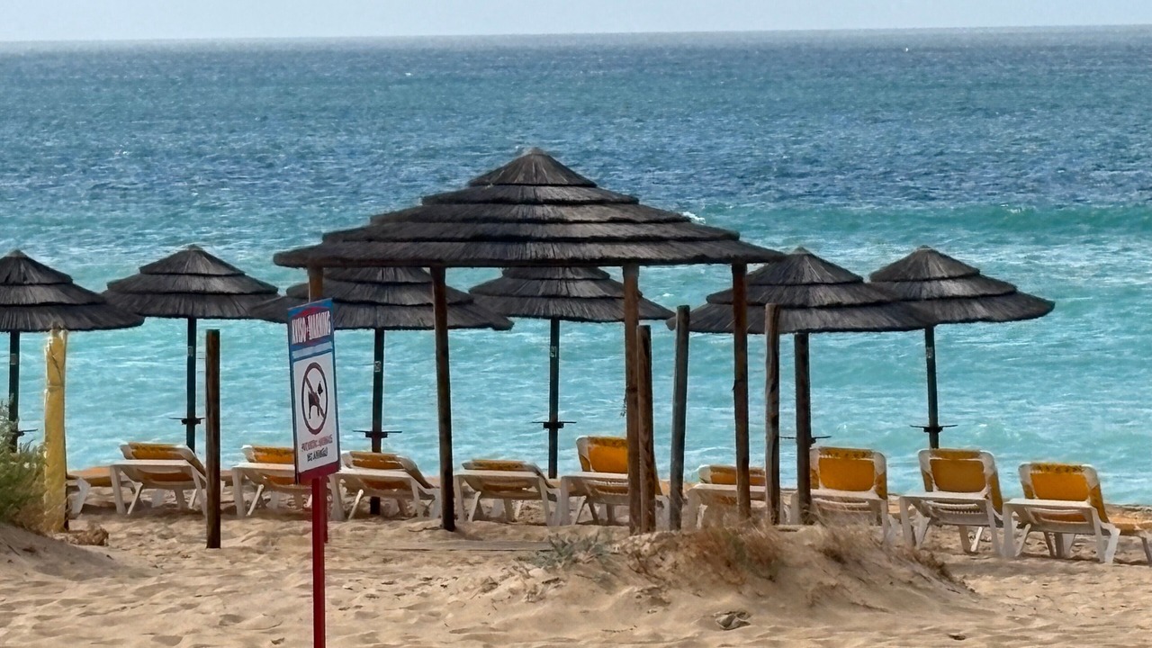 Photo of Others in Torralta