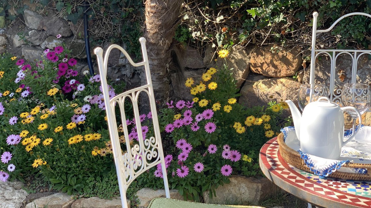 Photo of Outdoor in Carvoeira