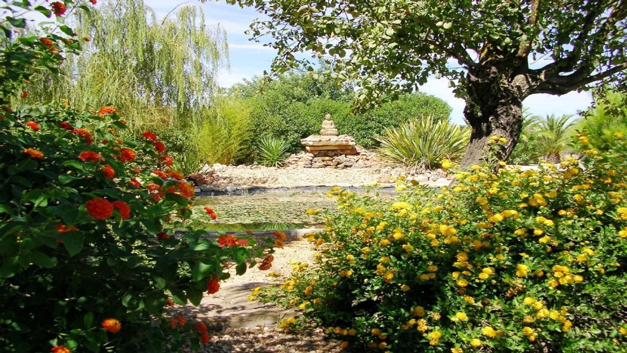 Photo of Outdoor in Albufeira